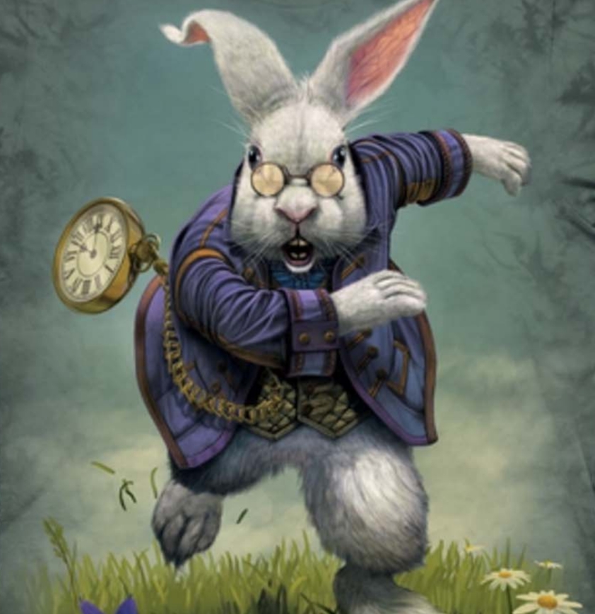White Rabbit - Adult Unisex T-Shirt