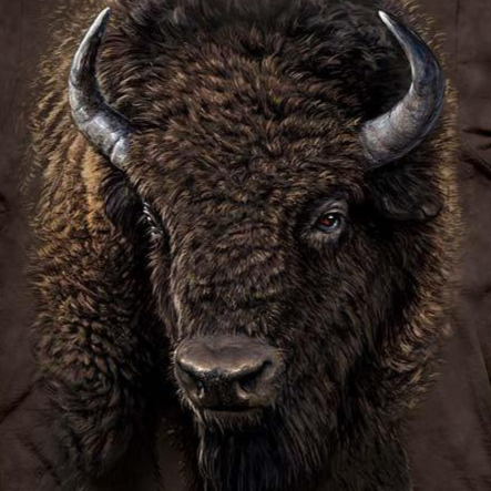 American Buffalo - Adult Unisex T-Shirt