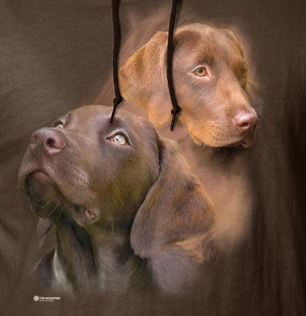 Chocolate Labs - Adult Unisex Lightweight Hoodie Tee