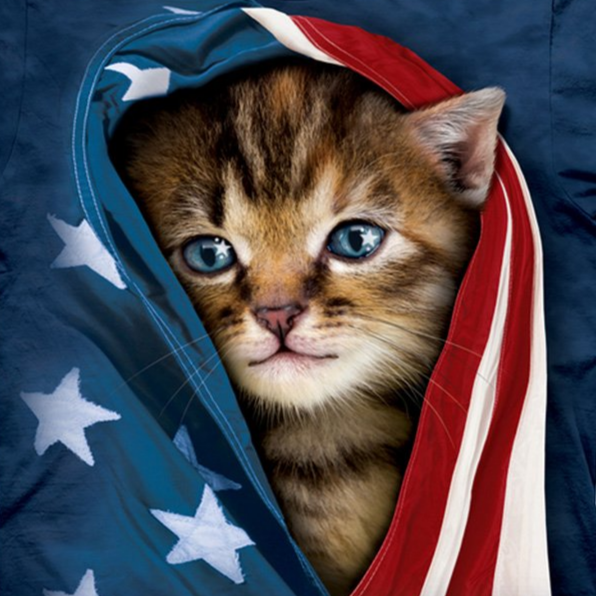 Patriotic Kitten - Kids' Unisex T-Shirt