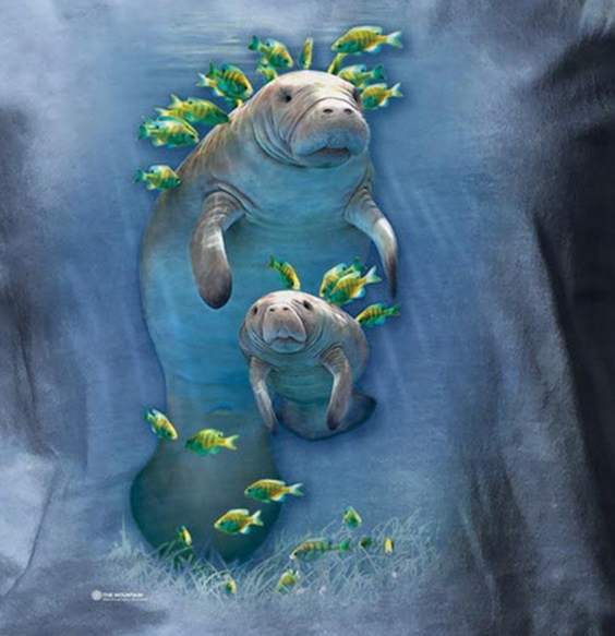 Sea Cow and Calf - Women's Scoop Neck T-Shirt