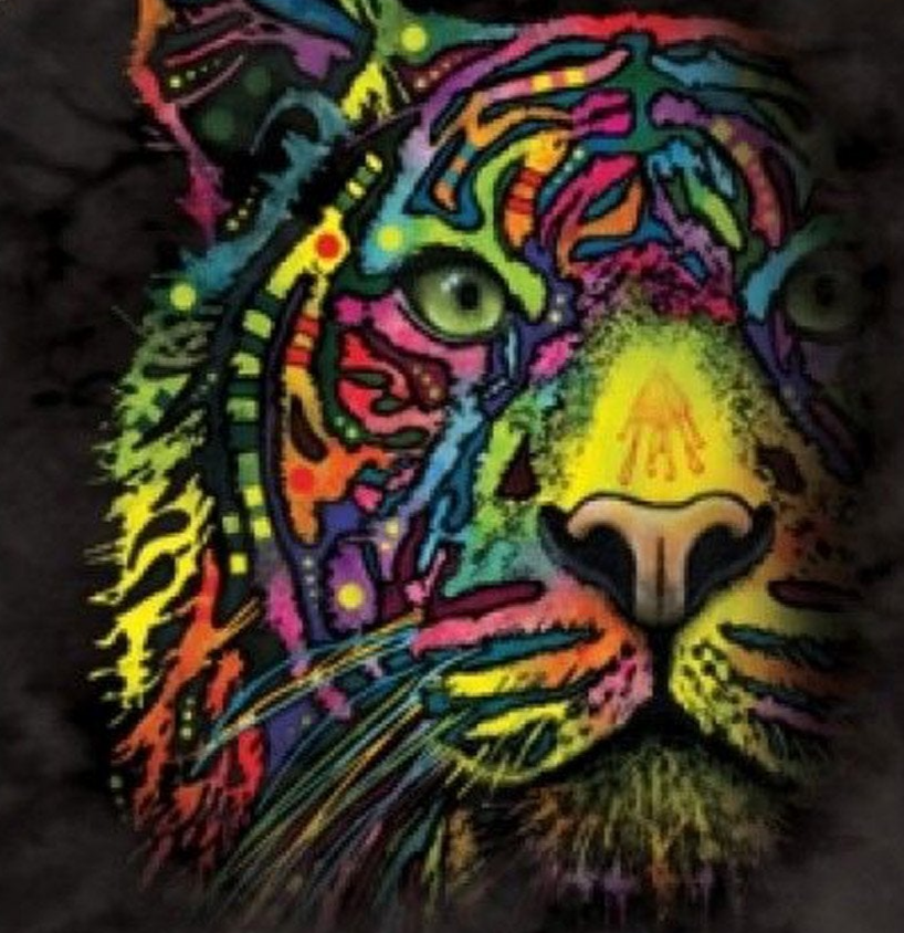 Rainbow Tiger - Adult Unisex Tank Top