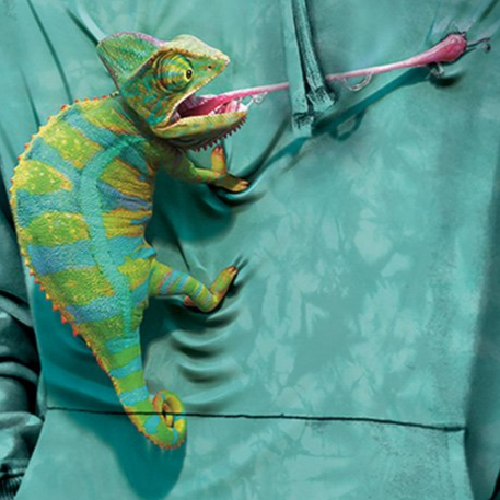 Climbing Chameleon - Adult Unisex Hoodie Sweatshirt
