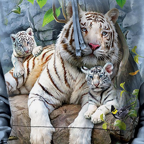 White Tigers of Bengal - Adult Unisex Hoodie Sweatshirt