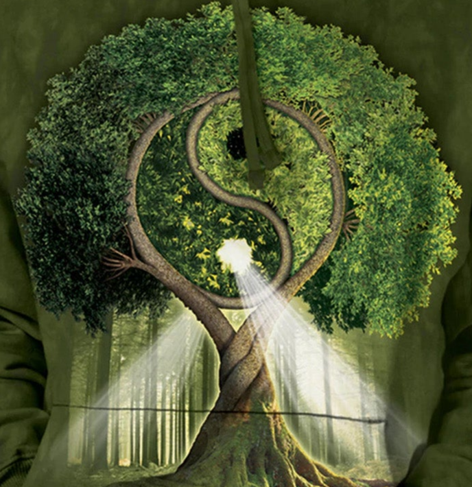 Yin Yang Tree - Adult Unisex Hoodie Sweatshirt
