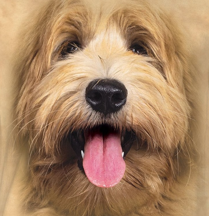 Big Face Labradoodle Pup - Adult Unisex T-Shirt