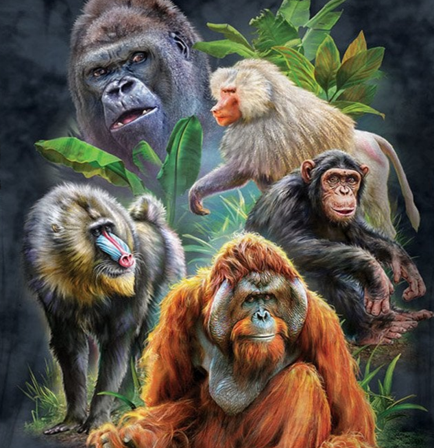 Primates Collage - Kids' Unisex T-Shirt