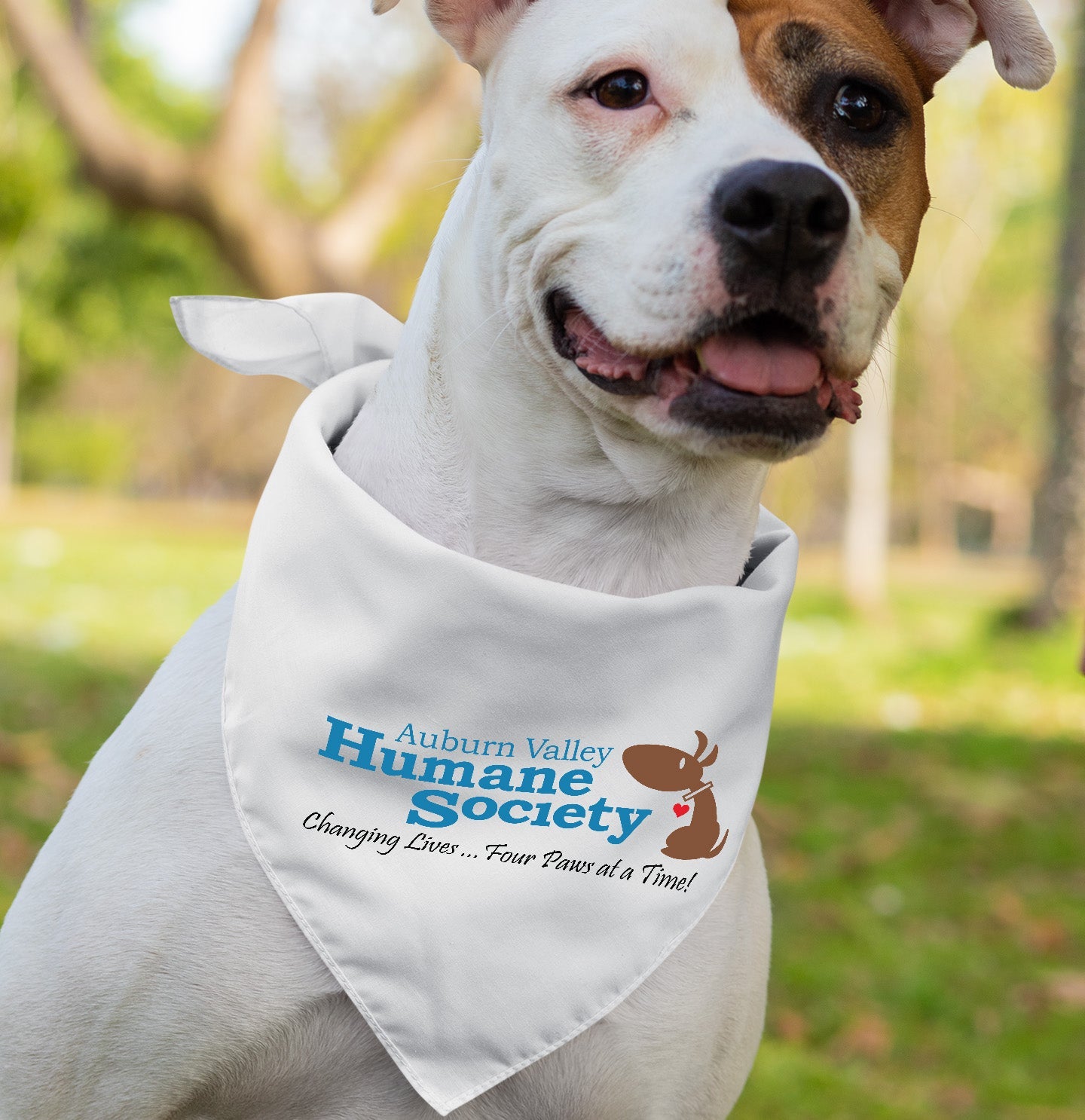 AVHS Logo -Stylish Doggie Bandana - Main Image