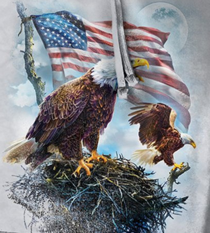 American Eagle Flag - Adult Unisex Hoodie Sweatshirt