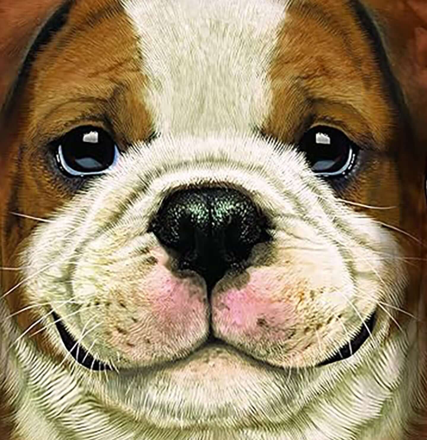 Big Face Bulldog Puppy - Adult Unisex T-Shirt