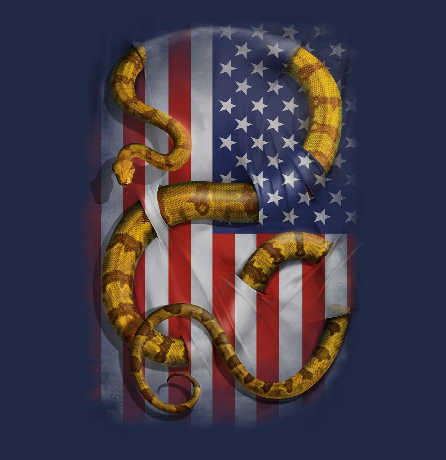 Boa Constrictor USA - Adult Unisex T-Shirt - Graphic