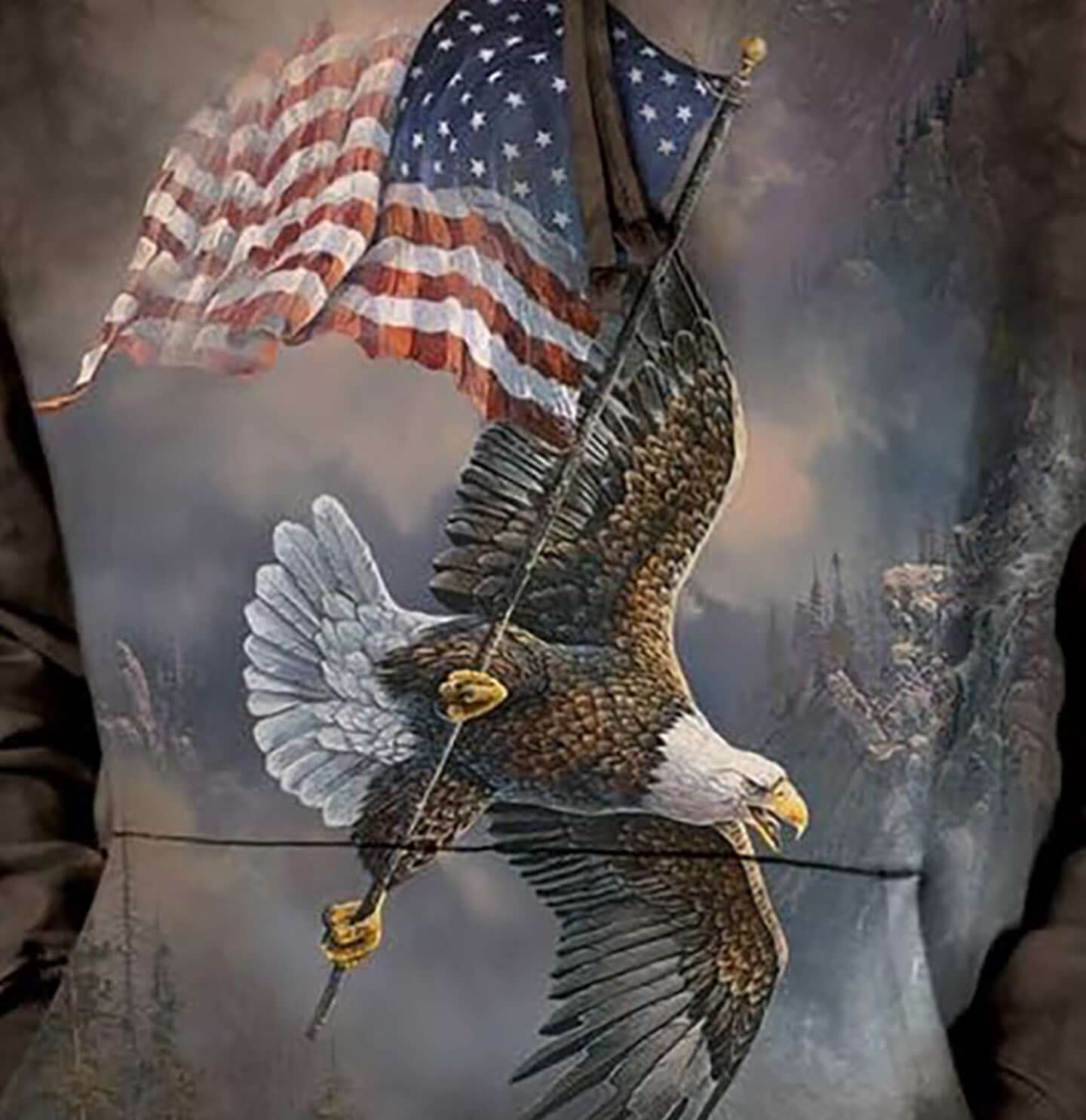 Flag-Bearing Eagle - Adult Unisex Hoodie Sweatshirt