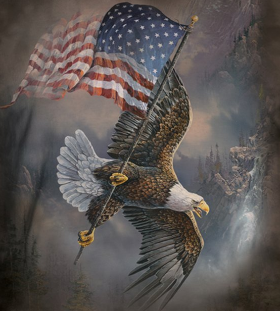 Flag-Bearing Eagle - Adult Unisex Long Sleeve T-Shirt