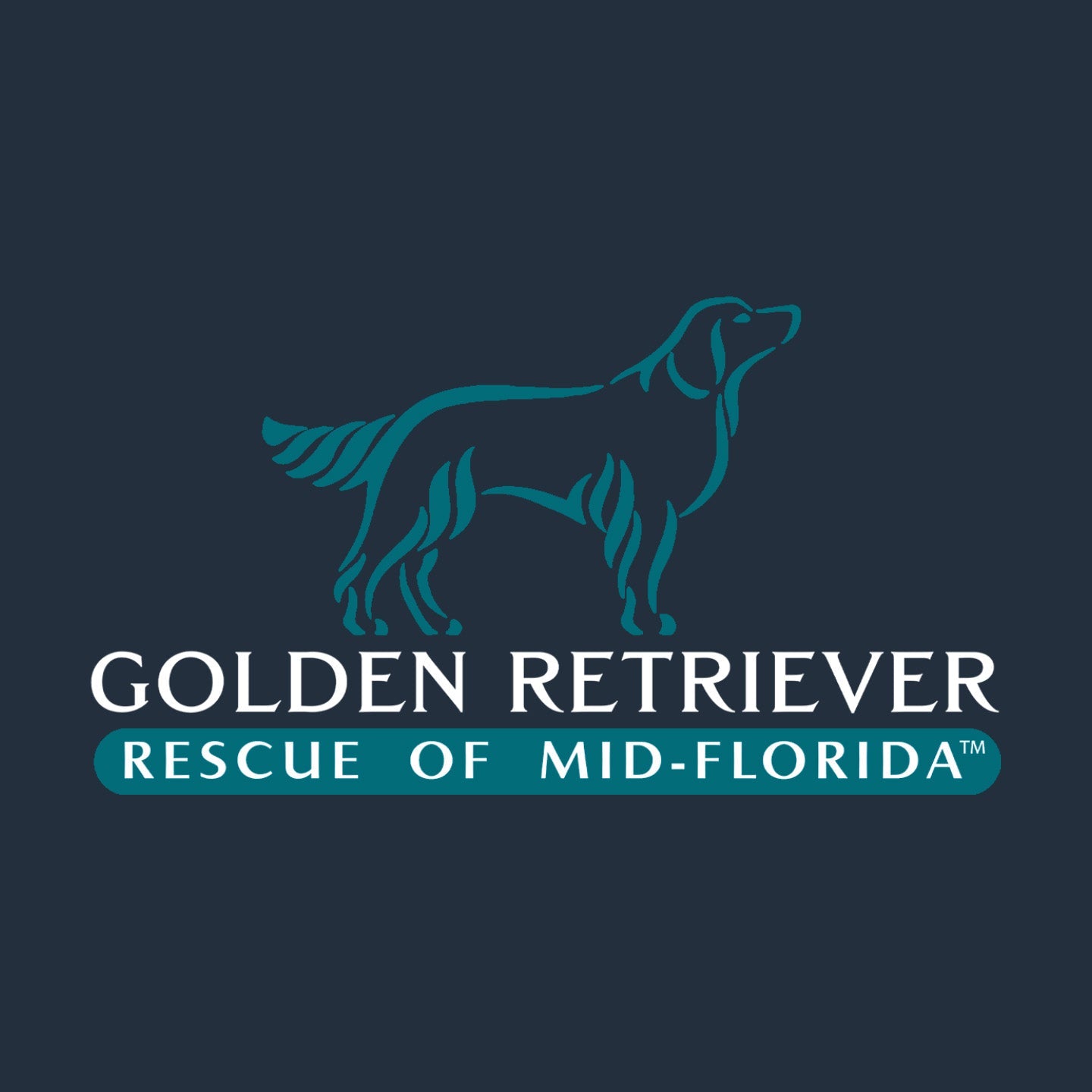 Golden Retriever Rescue of Mid-Florida LC Logo - Women's Micro-Mesh Polo - Light Blue - Large - Specs