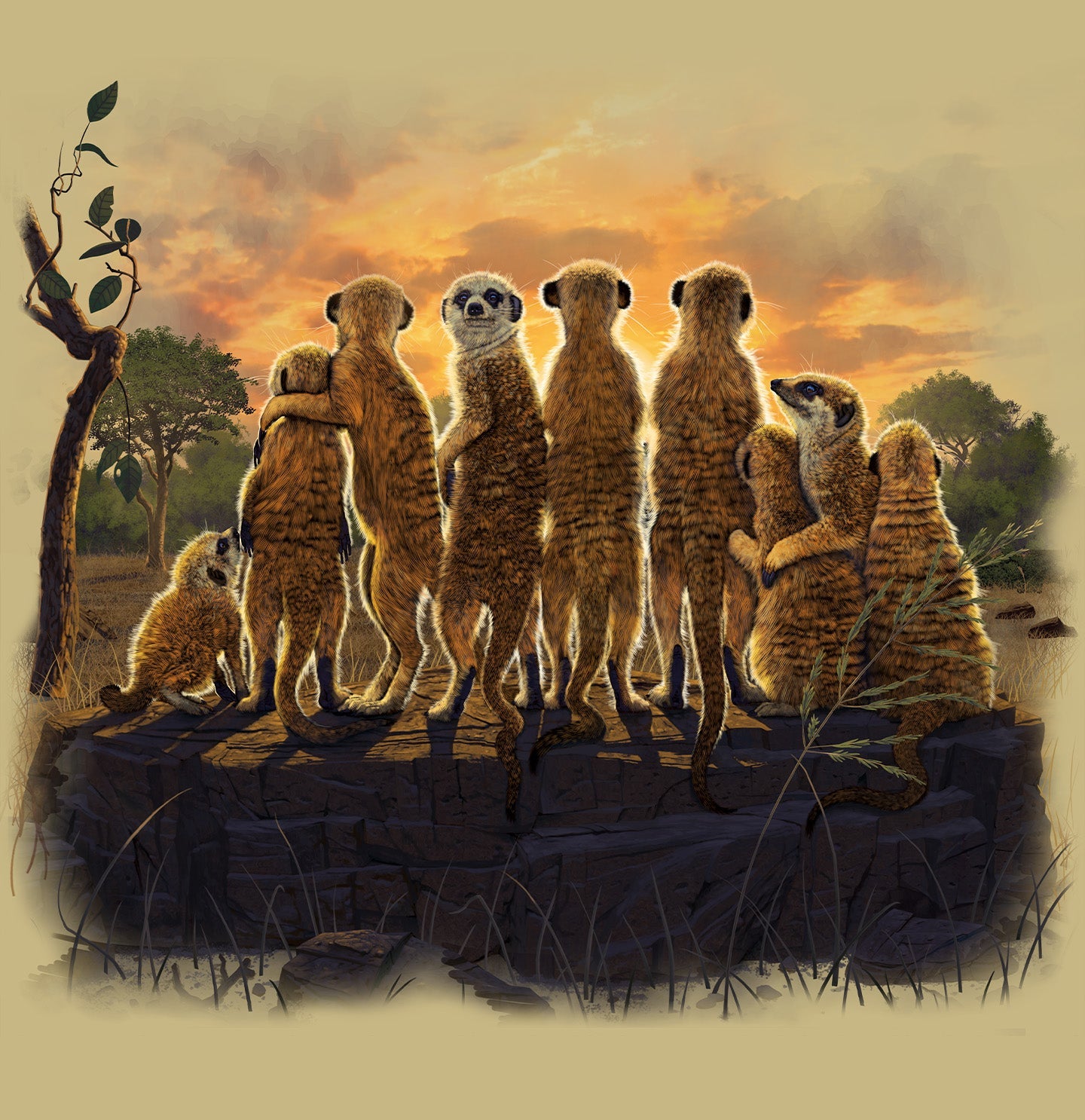 Meerkats - Adult Unisex T-Shirt - Graphic