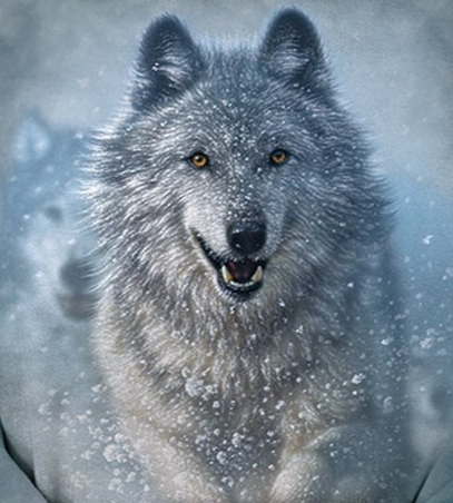 Snow Plow Wolf - Kids' Unisex Hoodie Sweatshirt