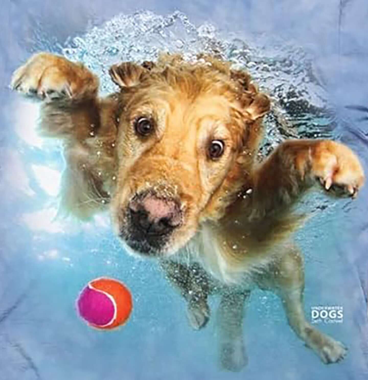 Underwater Frisco - Kids' Unisex T-Shirt