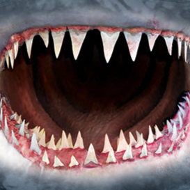 Wicked Nasty Shark - Adult Unisex Face Mask