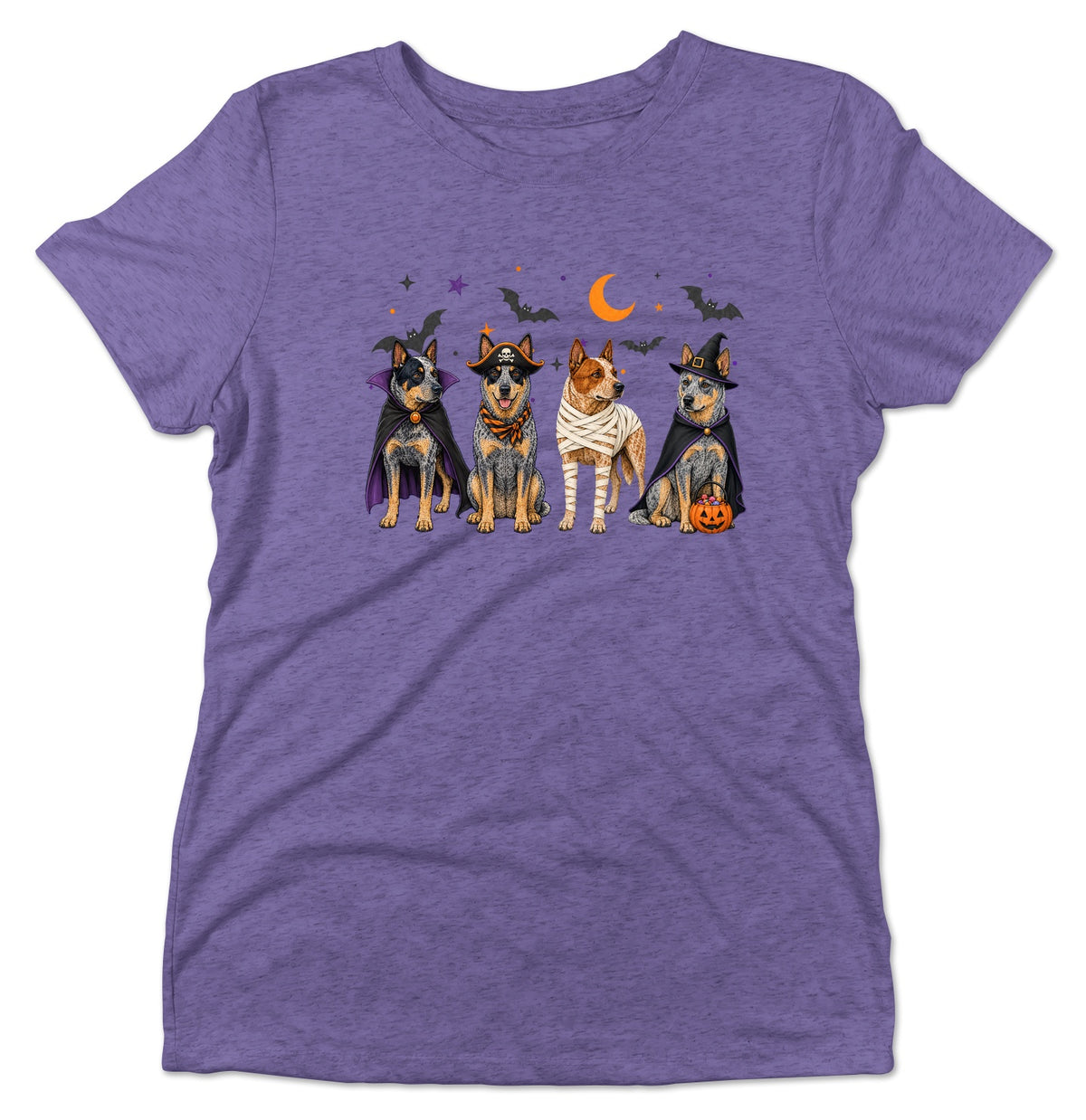 Australian Cattle Dog Halloween Lineup - Women's Tri-Blend T-Shirt