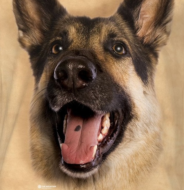 Joyful German Shepard - Kids' Unisex T-Shirt