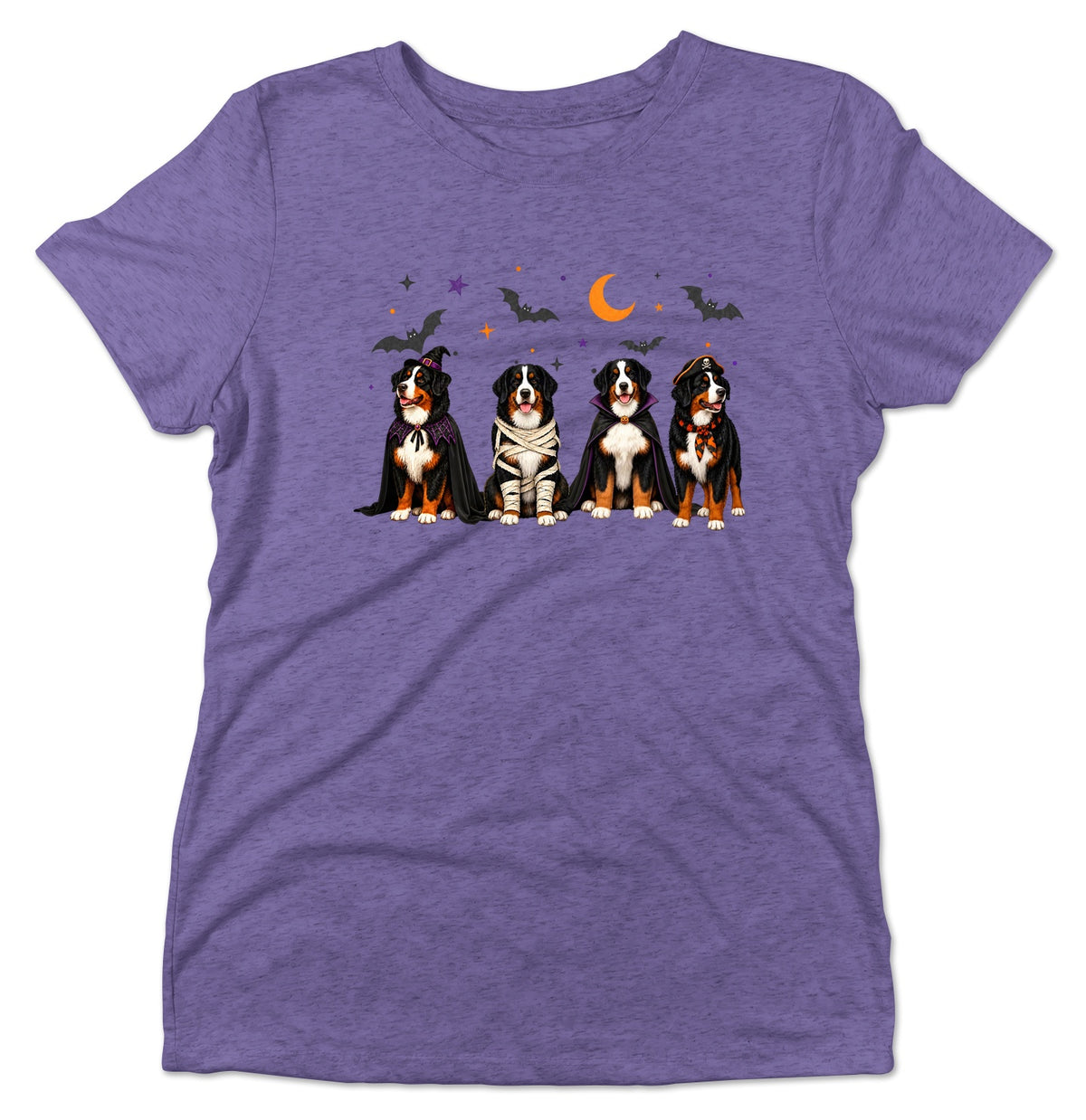 Bernese Mountain Dog Halloween Lineup - Women's Tri-Blend T-Shirt