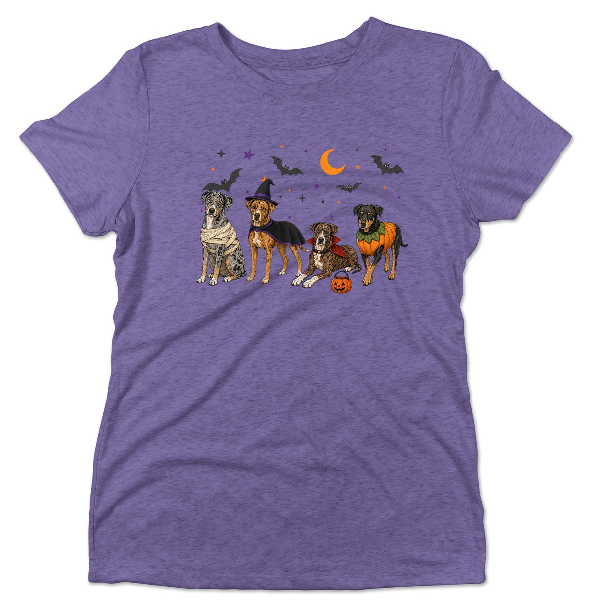 Catahoula Leopard Dog Halloween Lineup - Women's Tri-Blend T-Shirt