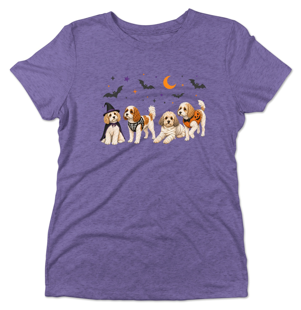 Cavachon Halloween Lineup - Women's Tri-Blend T-Shirt