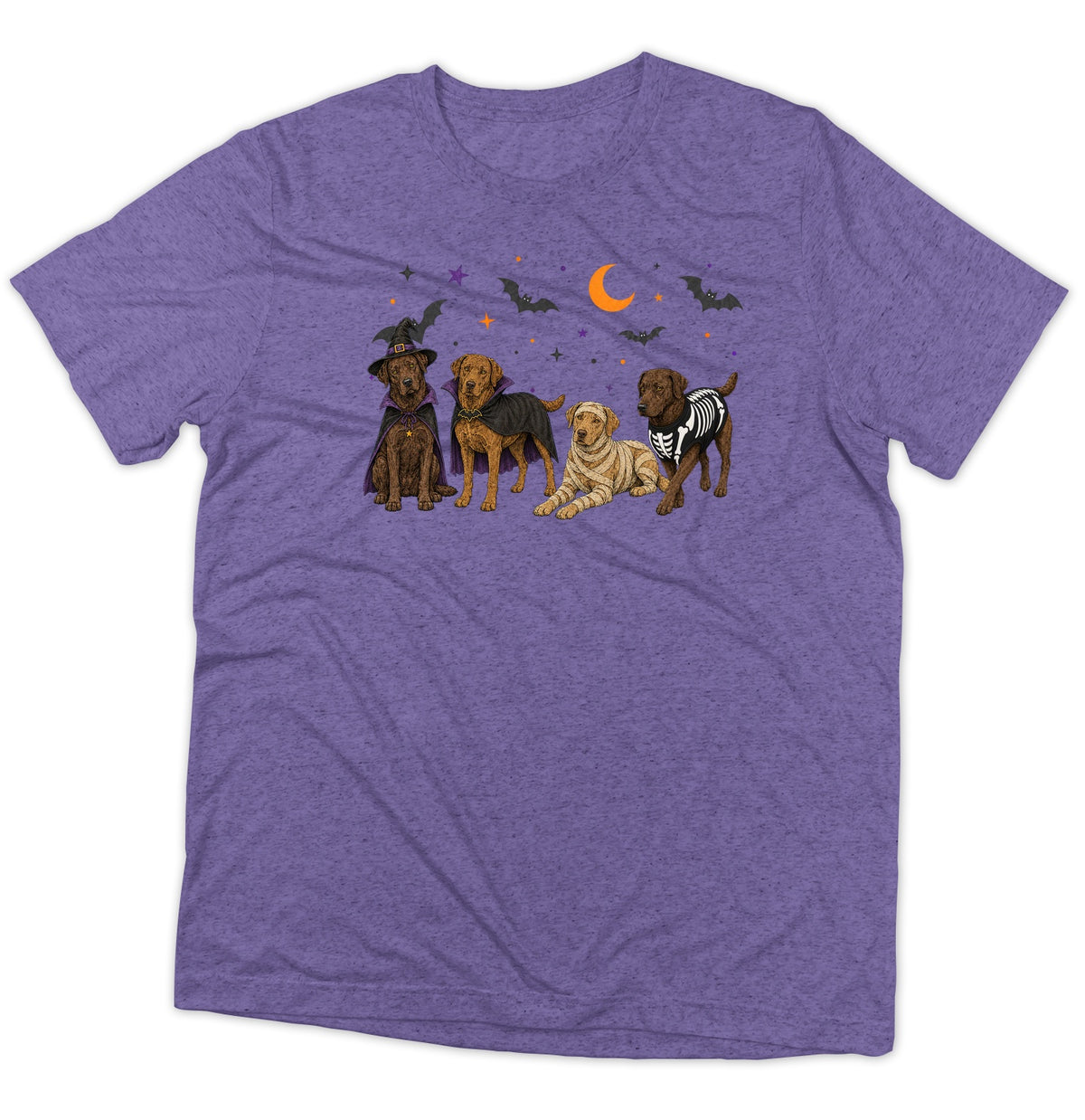 Chesapeake Bay Retriever Halloween Lineup - Adult Tri-Blend T-Shirt