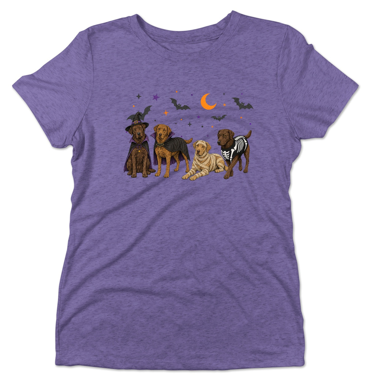 Chesapeake Bay Retriever Halloween Lineup - Women's Tri-Blend T-Shirt