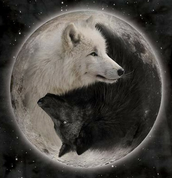 Yin Yang Wolves - Adult Unisex Long Sleeve T-Shirt