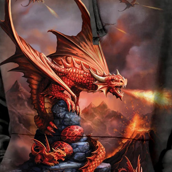 Fire Dragon - Adult Unisex Hoodie Sweatshirt