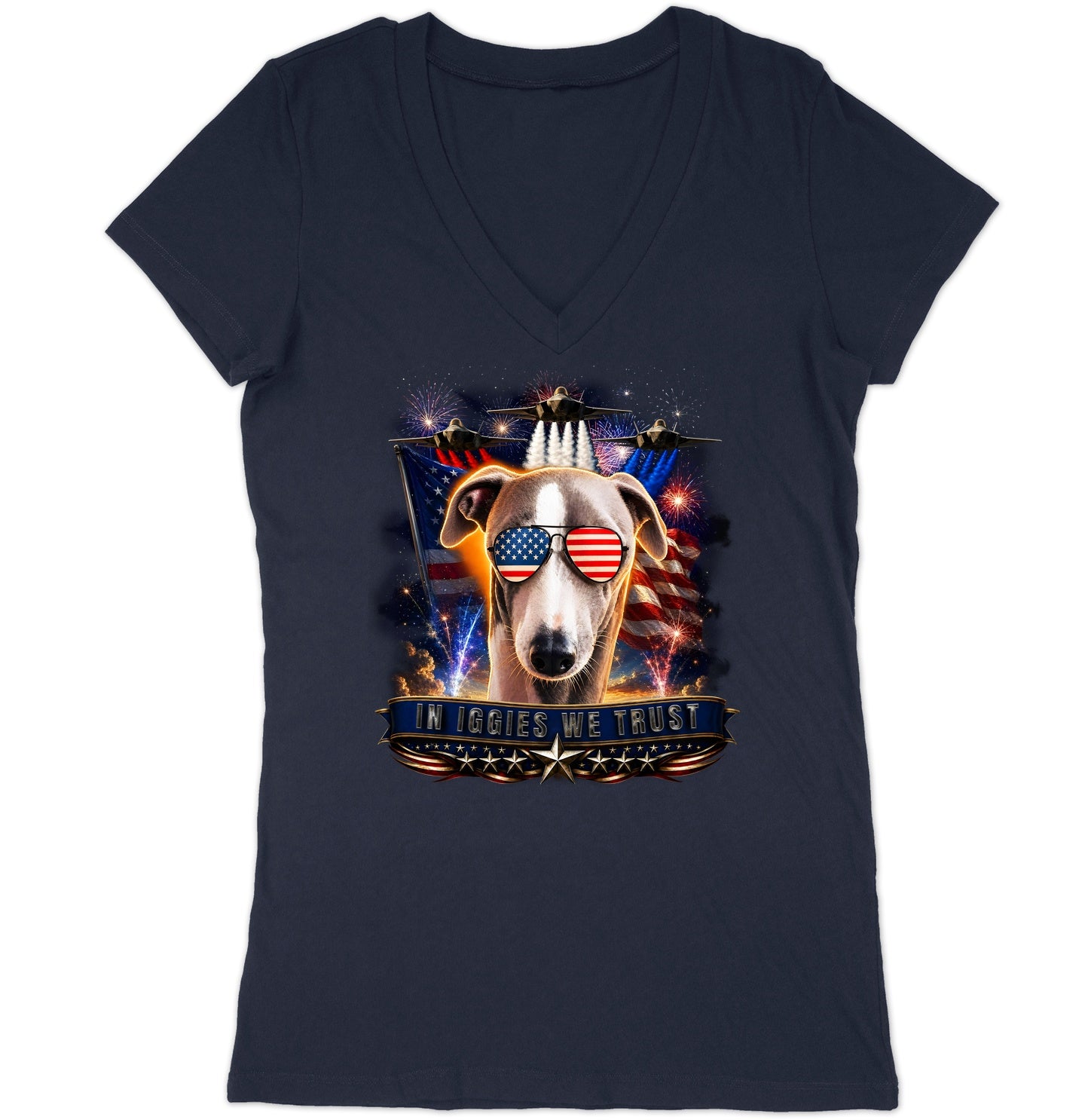 In Italian Greyhounds We Trust - Women's V-Neck T-Shirt