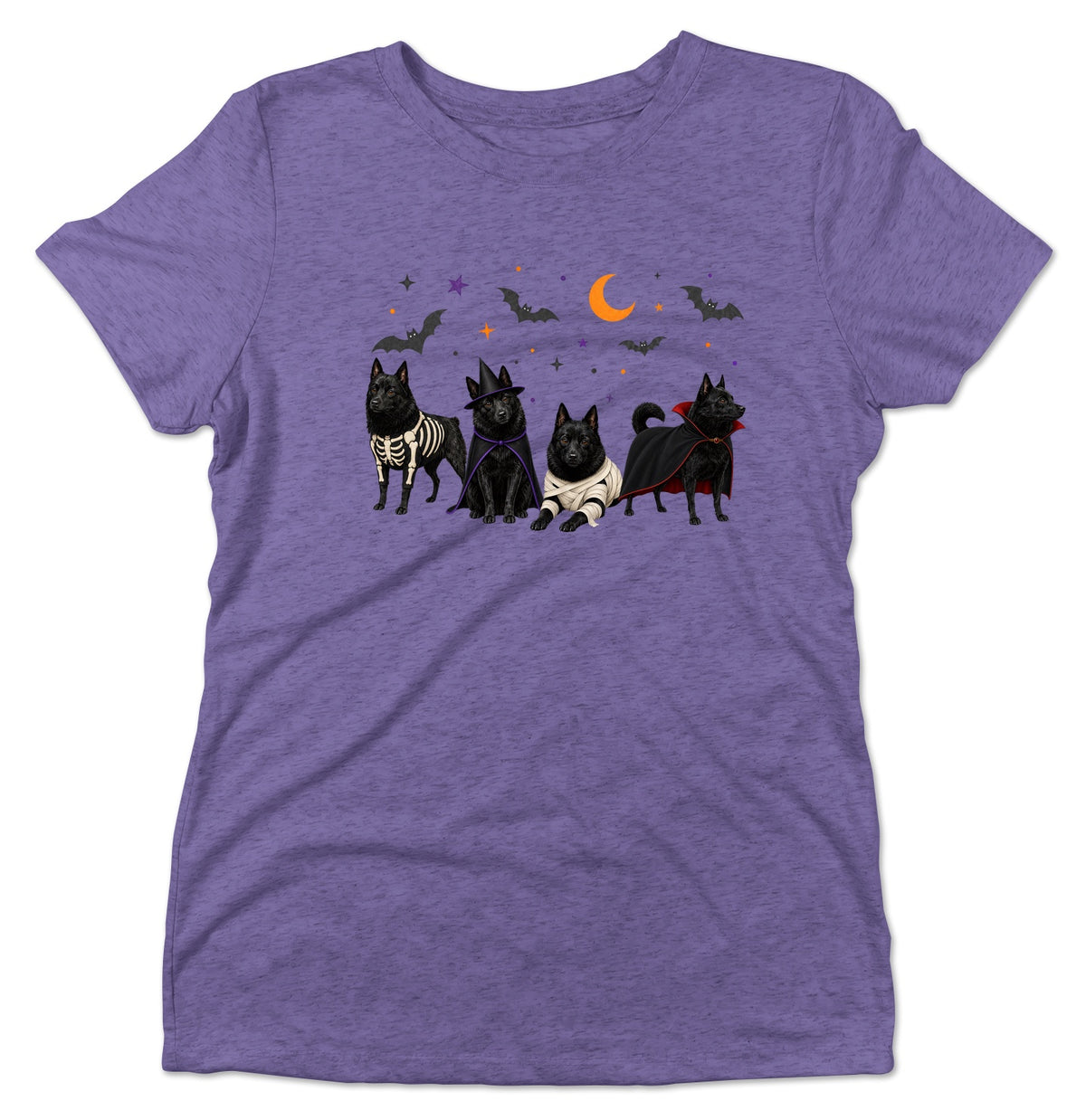 Schipperke Halloween Lineup - Women's Tri-Blend T-Shirt