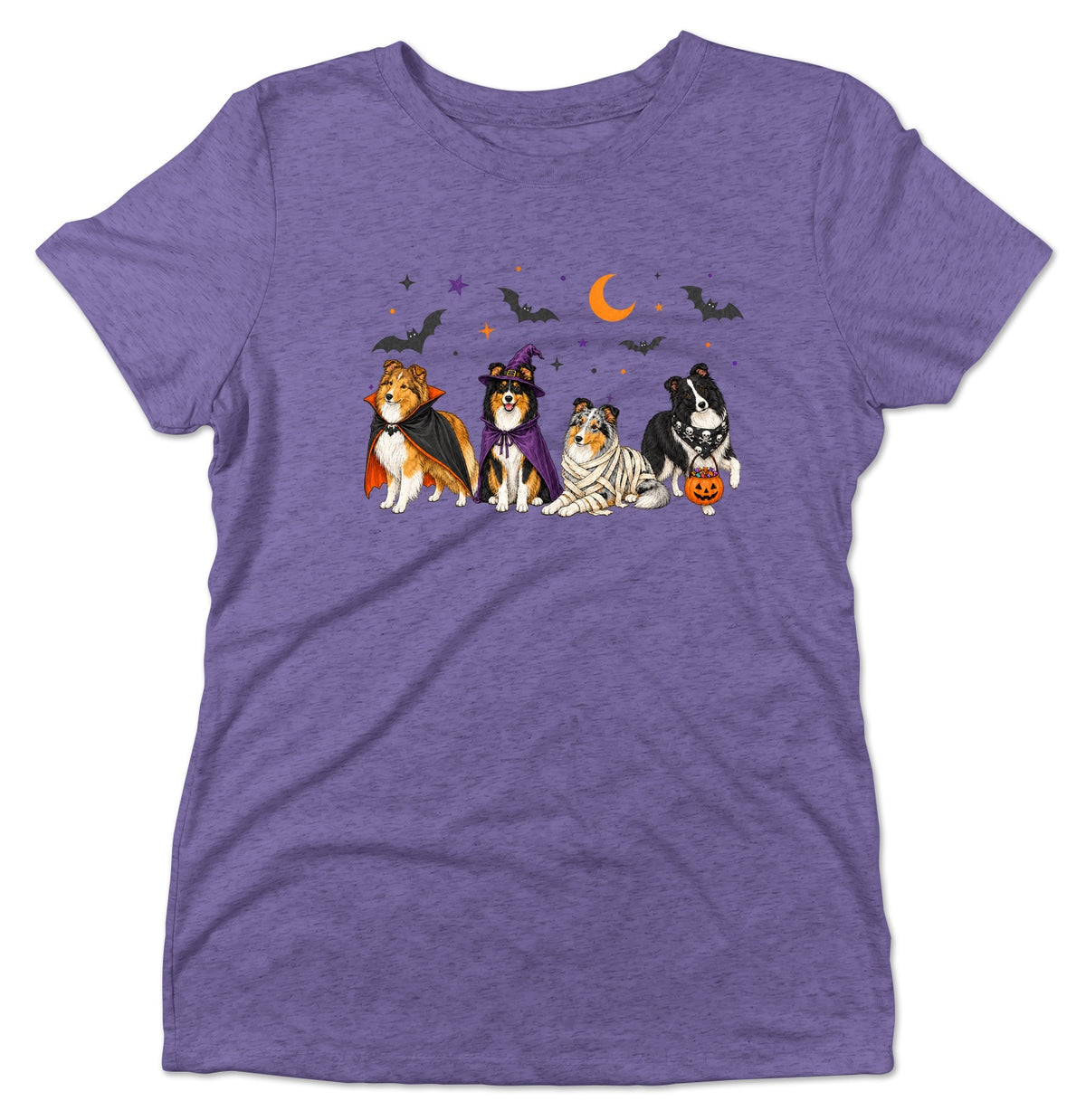Shetland Sheepdog Halloween Lineup - Women's Tri-Blend T-Shirt