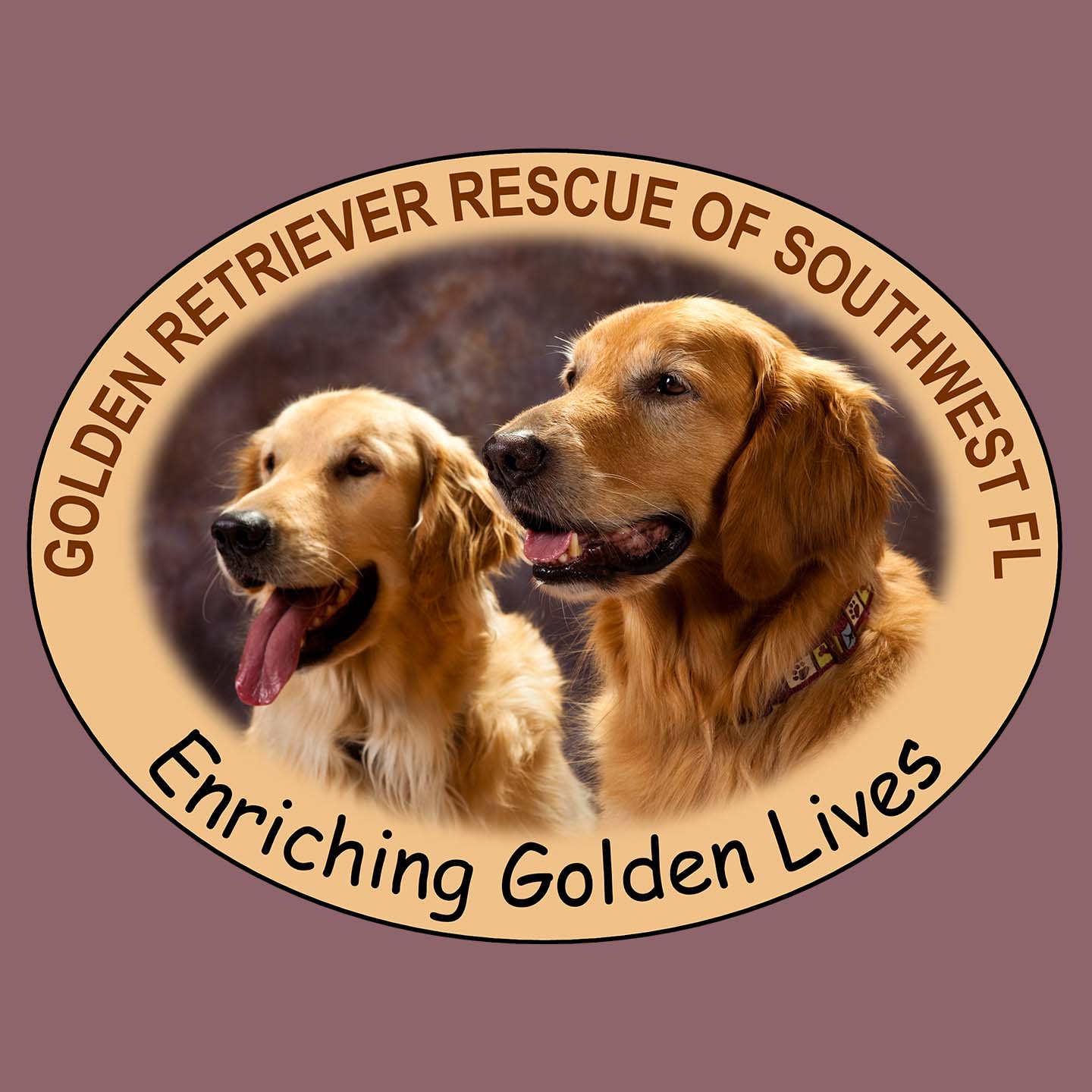 GRRSWF Enriching Golden Lives - Adult Tri-Blend T-Shirt