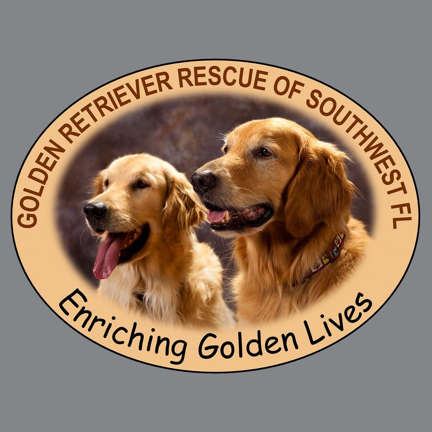 GRRSWF Enriching Golden Lives - Women's V-Neck Long Sleeve T-Shirt