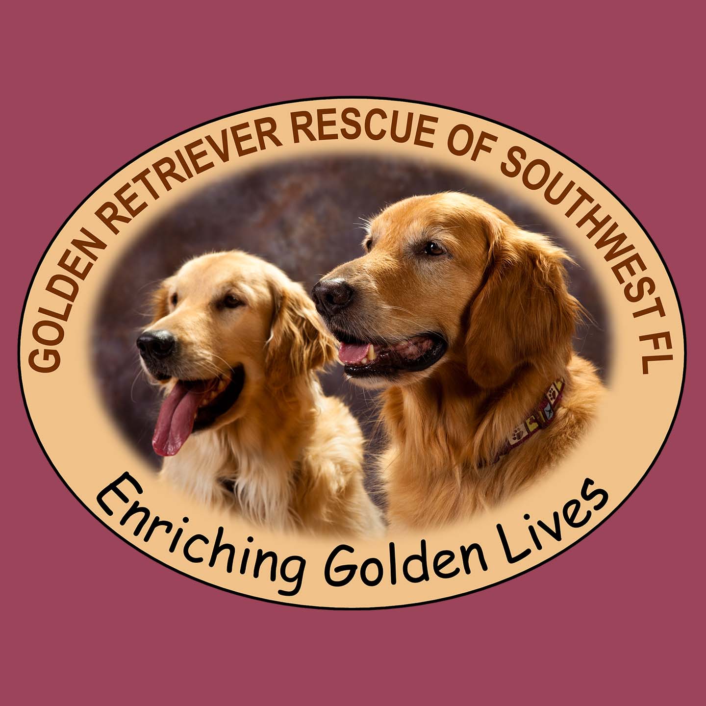 GRRSWF Enriching Golden Lives - Adult Unisex Hoodie Sweatshirt