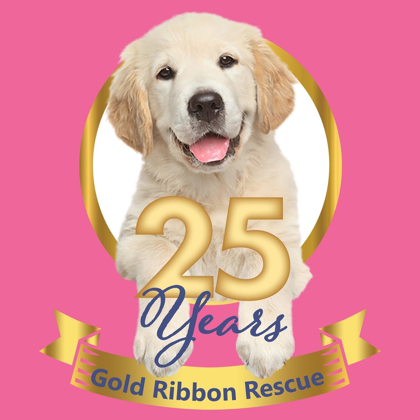 Gold Ribbon 25 Years Puppy - Women's Tri-Blend T-Shirt