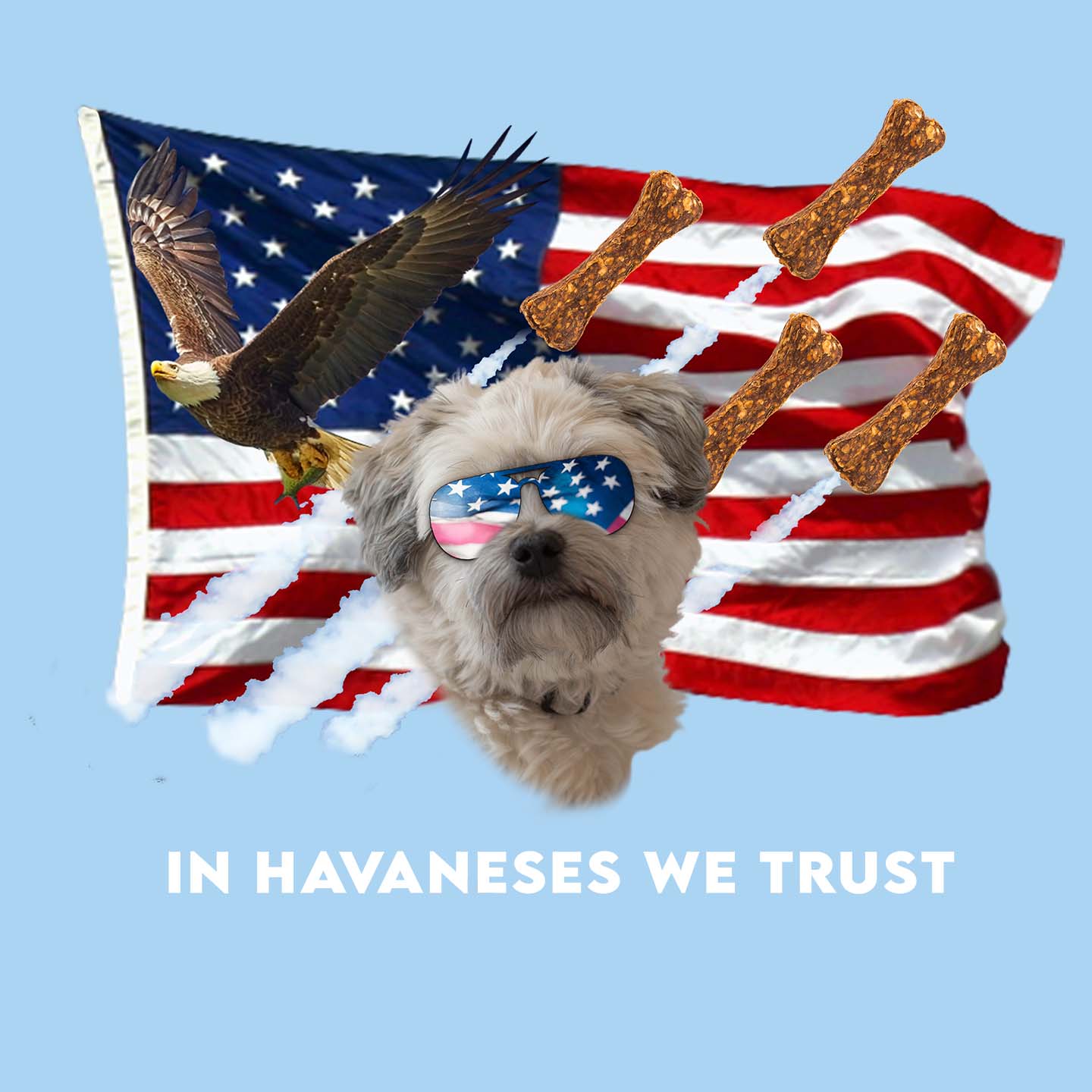In Havaneses We Trust - Adult Unisex T-Shirt
