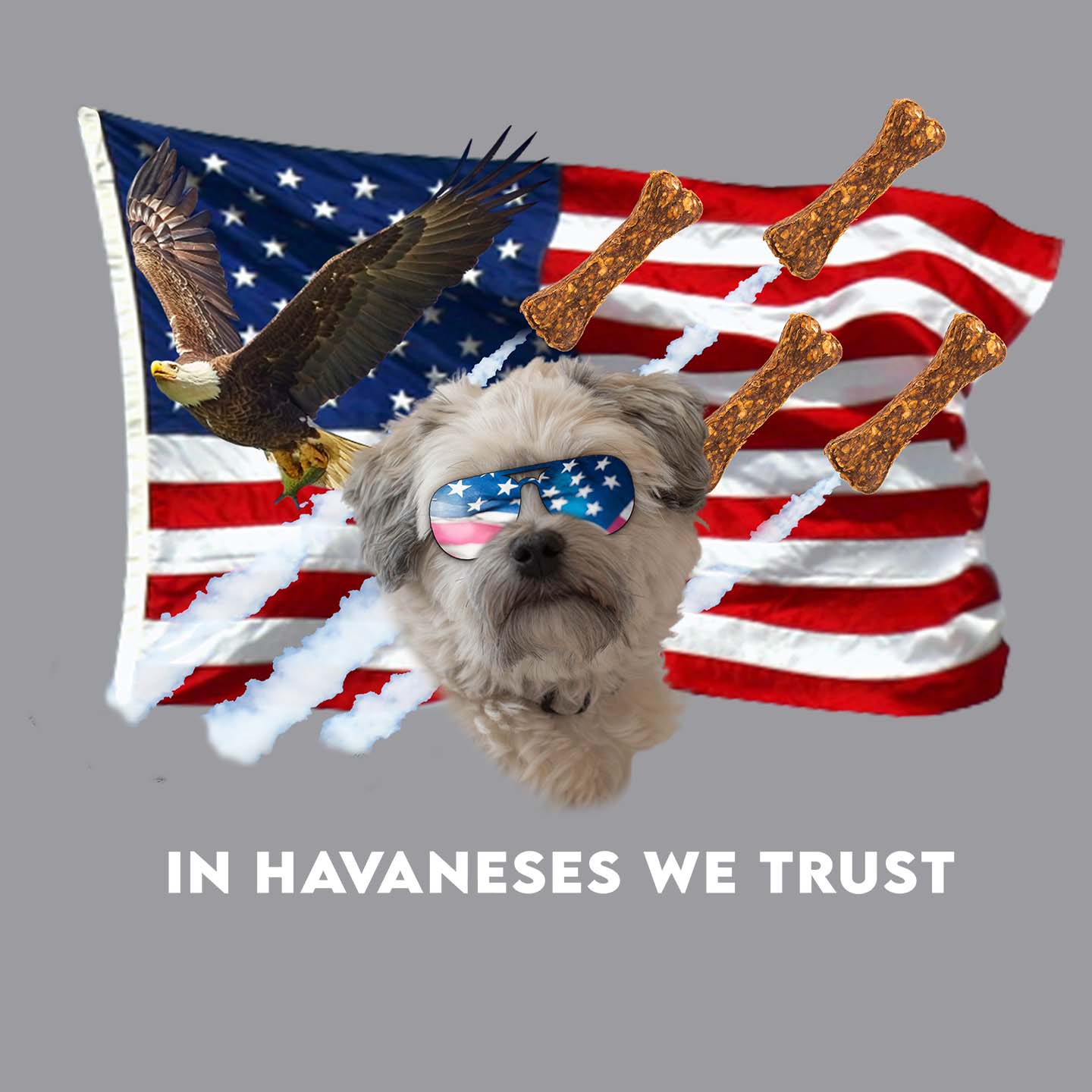In Havaneses We Trust - Adult Unisex Hoodie Sweatshirt