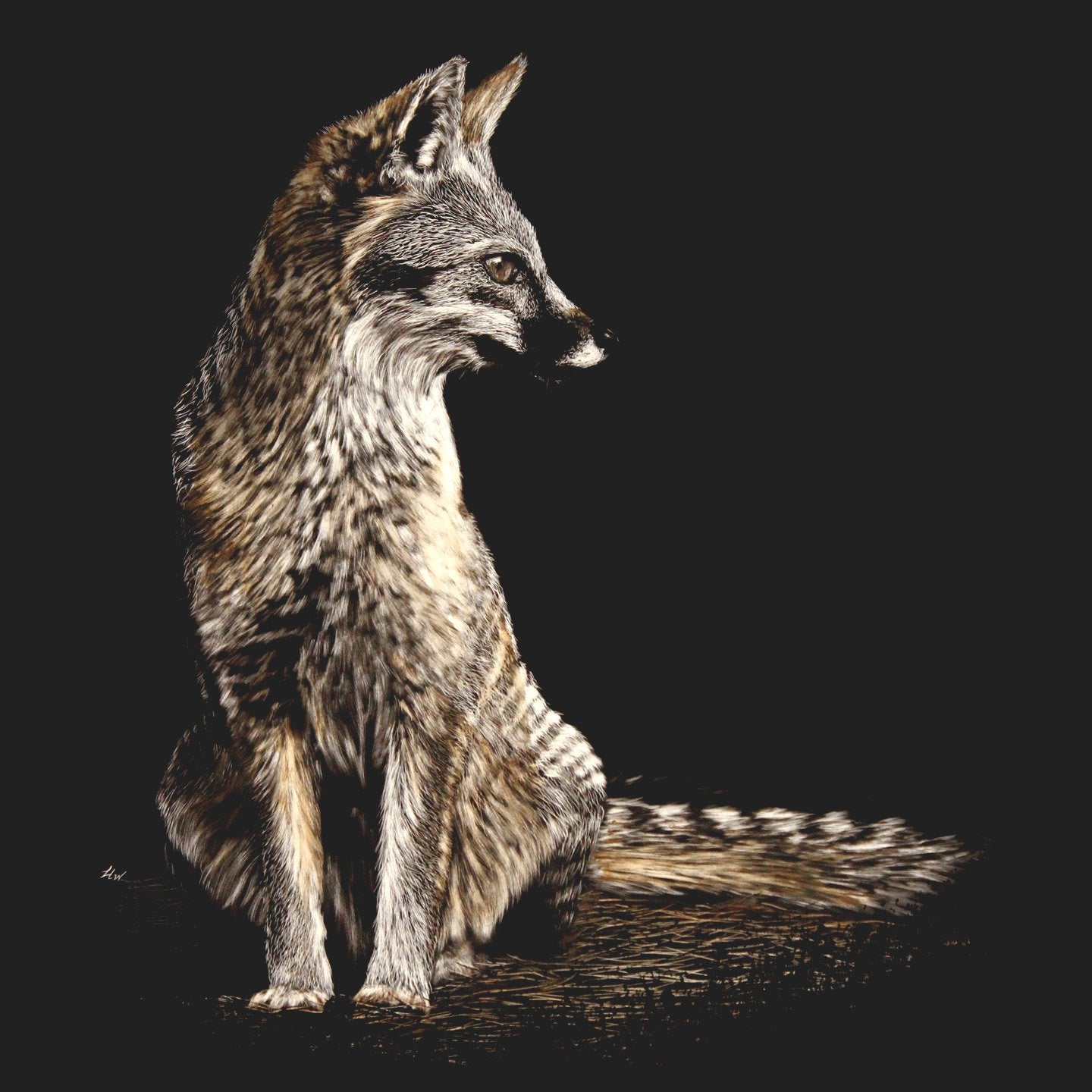 Gray Fox on Black - Kids' Unisex T-Shirt