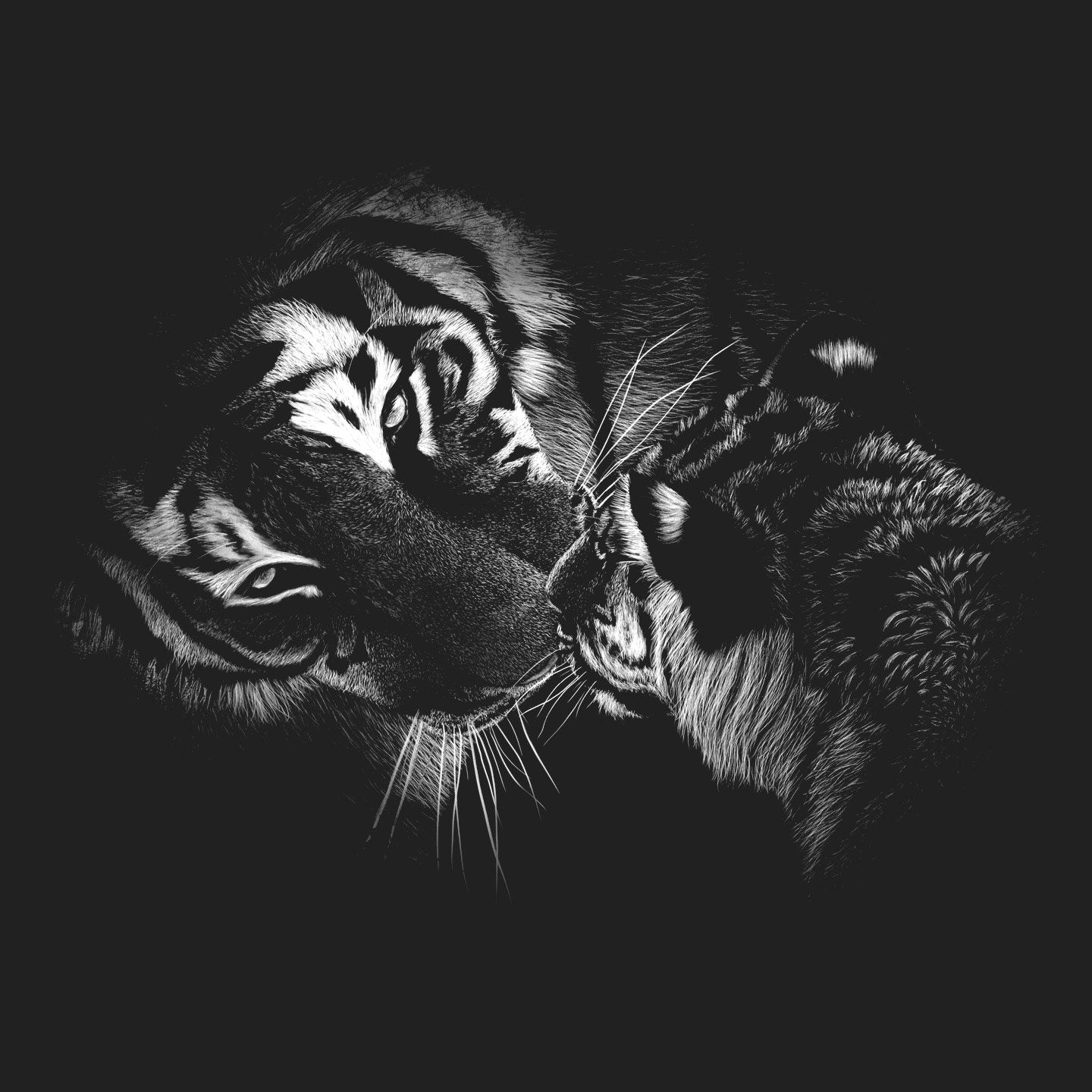 Close-up Tiger and Cub on Black - Kids' Unisex T-Shirt