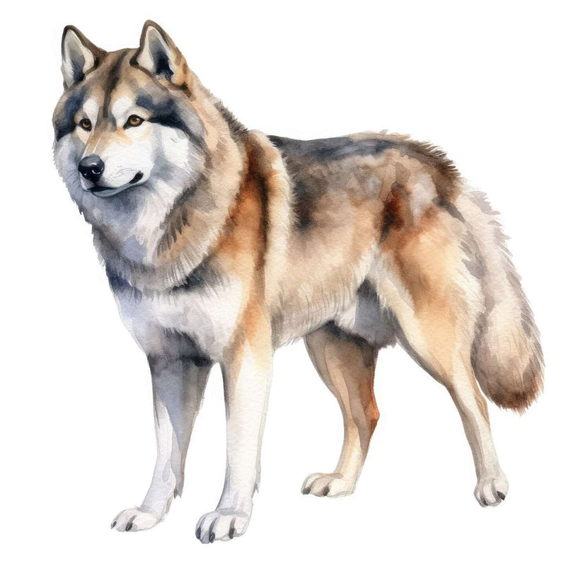 Alaskan Malamutes