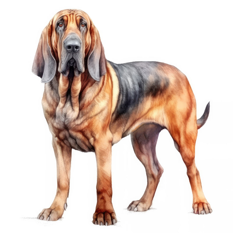 Bloodhounds