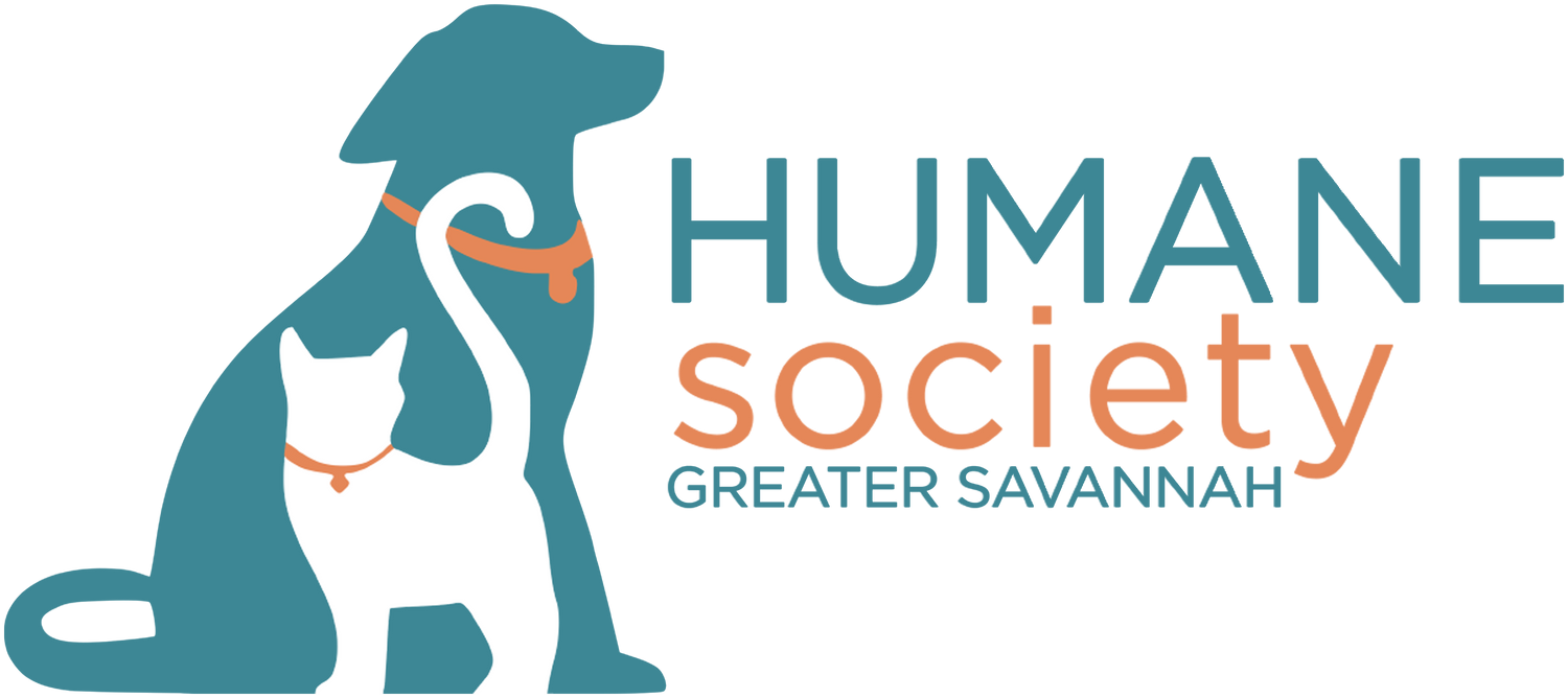 HSGS
