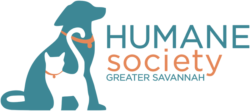 HSGS