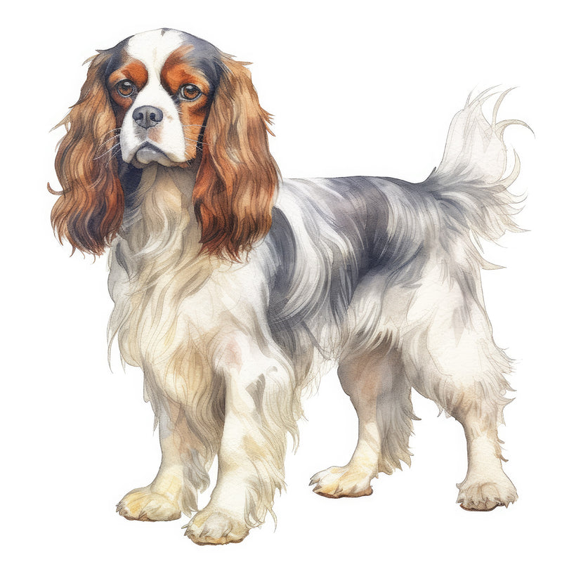 King Charles Spaniels