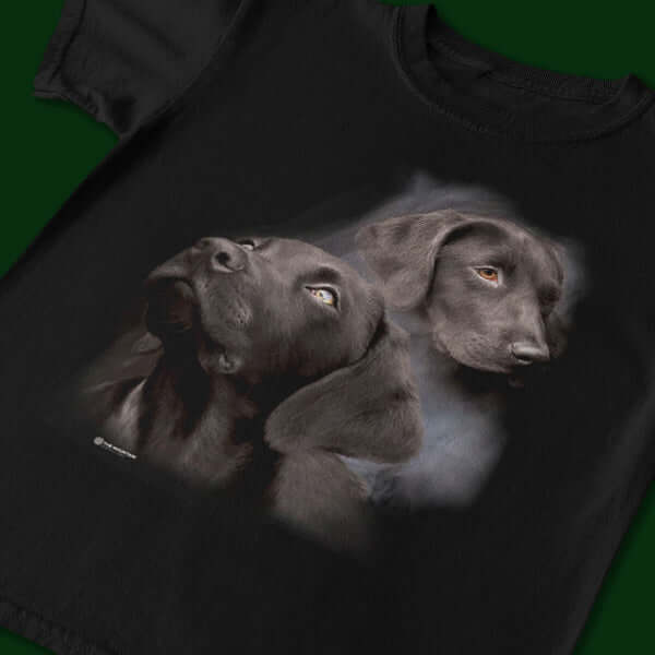 Labrador Retrievers