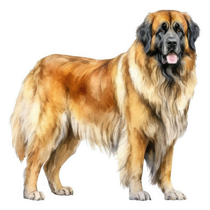 Leonbergers