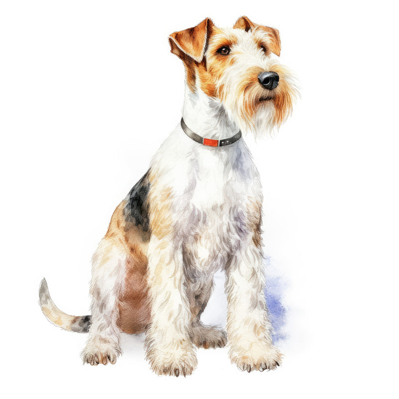 Wire Fox Terriers